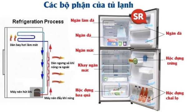 Cấu tạo chi tiết của tủ lạnh